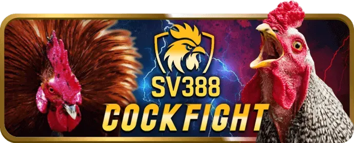 Hỗ trợ khách hàng km3888b